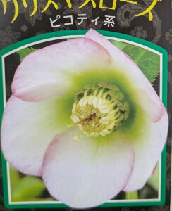 NX}X[Y@VO炫@sReBn@ 3c@c