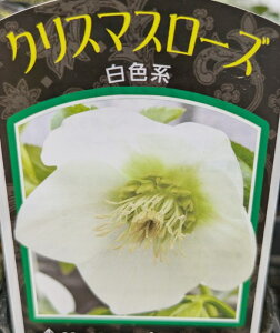 NX}X[Y@VO炫@Fn@izCgj@3c@c