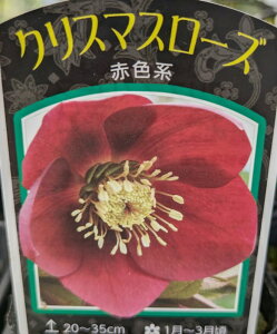 NX}X[Y@VO炫@ԐFn@bh@3c@c