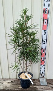 yiR137zRE}L@(얊)@c؁@5