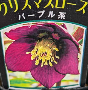 NX}X[Y@VO炫@p[vn@3c@c