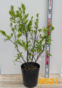 yIׂ錻izIK^}@|[gC@c؁@8