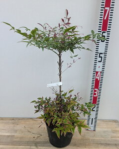 yiN522z␫V(iej IuZX@c؁@6