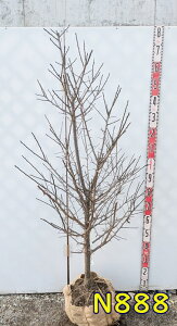 yIׂ錻iz~iEjg~iJSV}REoCj@c؁@1.5m