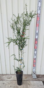 yi?503ztBK[C@Wbh@c؁@ڂؕc@4