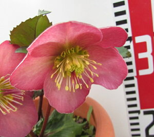 yiA350zNX}X[Y@VFYVC@7A@yd炫@VO炫@sN/bhnzyBeF25N1113z