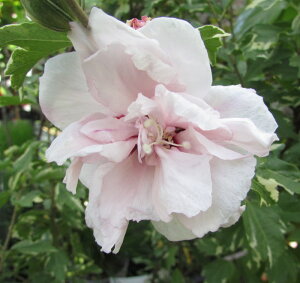 胀NQ@[YIuV@VK[fBbv@c؁@6