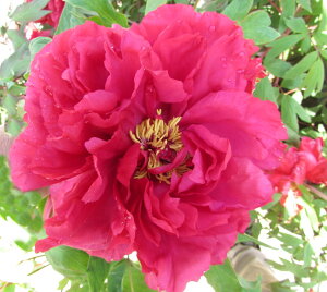 yiz{^(O)@c؁@`iATq~igj@7@A126yBeF25N429z