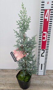 NvbTX A]jJ@VCjOu[@3@c