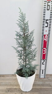 NvbTX A]jJ@VCjOu[@5A