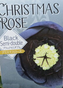 NX}X[Y@Z~_u炫@ubN@ 3.5c@c(c01)