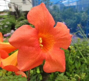 AJmE[JY ԉԁ@4|bgc(i10)