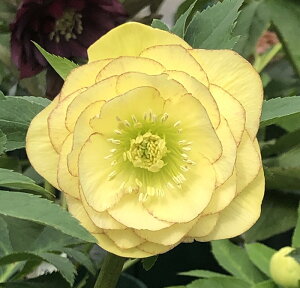 NX}X[Y@ V[Y@Pi^}qj@5yd炫@CG[nsReBz