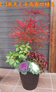 y\izV̊񂹐A@12Ay@痼/@ie ԓV@tO@N@~̋G߂̊񂹐A 叼z