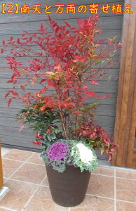 y\izV̊񂹐A@12Ay@痼/@ie ԓV@tO@N@~̋G߂̊񂹐A 叼z