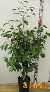 yIׂ錻izցicoLjiWbRE@ʖFgqAgg)@c؁@1m`@7