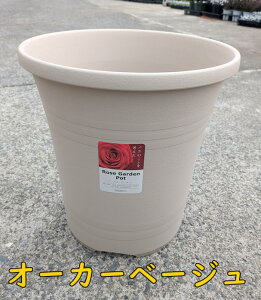 [YK[f|bg 36^i12j@yo@Aؔz