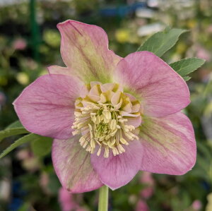 yizNX}X[Y @Z~_u炫@sNn@5@2465rbyBeF25N1212z