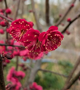 yiz~iEjg~iJSV}REoCj@c؁@1m@R379