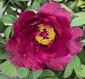 {^(O)@c؁@FaiRNzEfj@7