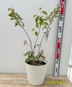 ␫W[x[@[WFbgi[WFgjc؁@7tO[AyIׂ锫Fz