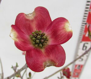 Ԑ؁ini~YLj bhWCAg@5@c(z03-3)