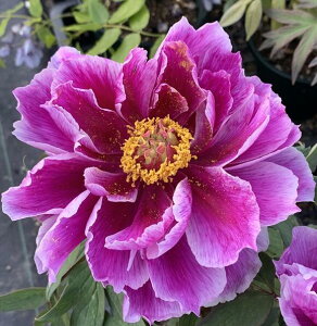 {^(O)@c؁@ΎqiCWVj@7