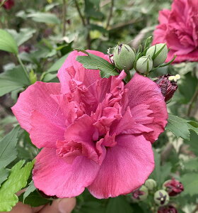 NQ@t`Lo[ bh@c؁@6ik05j