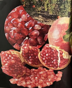 XC[g햳ўցiXC[g^liVUNj@[fG`F@4c