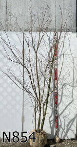 yIׂ錻izCn~W@@@c؁@2m`