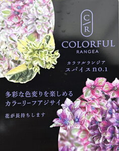 yOǗcztAWTCizԁAj XpCXNO.1@3|bgc