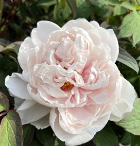 {^(O) c؁@MwliLtWj 7