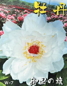 {^(O) c؁@䍑̊i~Njmn^j 7