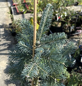 yi/G110z@AvX~@A]jJ@OEJ@c؁@7tO[A