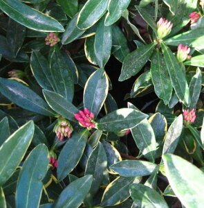 蒾ԁiW`EQj ԉ 4(d04)