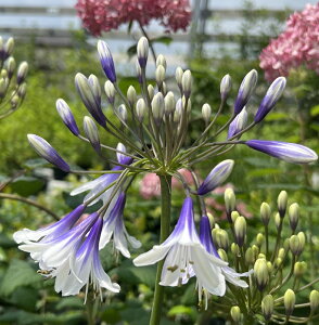 AKpTX@t@C[[NX@5c(k02)