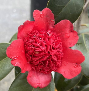 yi̔F32504zցicoLj u WbREvʖFgqAgg@7|bgAc