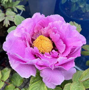 {^(O) c؁@y(V}l`EWN)@7