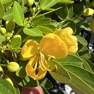 JbVA@FVgiLCCeVj6A(k02)