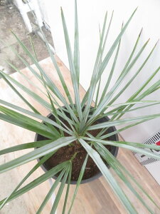 yiz`vX@ZtF7@c؁yAKz302