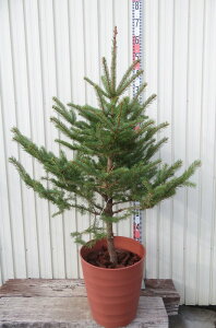 yizhCcgEqig[q) @12tO[A@c؁yAKz303