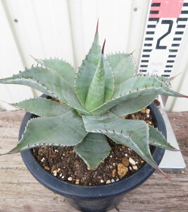 yizAKx @IoeBtHA@5A@c؁yFAz106