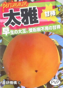 Ê`̖؁@i^CKj@c؁@5O|bgyƌz