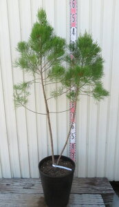 yizJXAi@uEVK[@10ZA[gA@c؁@J708