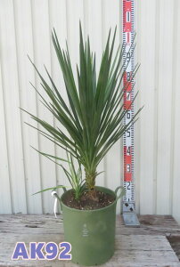 yIׂ錻izbJ@ACtHA@8AiGRj@c