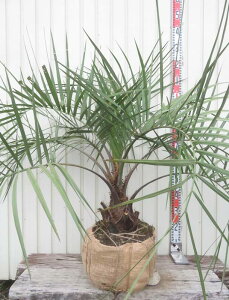 yizRRXV@劔@ c؁yQz13