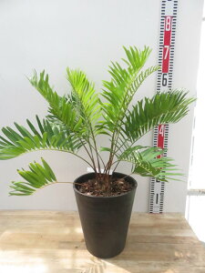 yizU~A@t_[i@7ZA[gA@c؁yFAz908