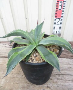 yizAKx @IoeBtHAyIJz@c؁yFAz