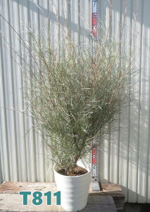 yIׂ錻izOrA@Gh`FAi@10tO[A@c؁yTz