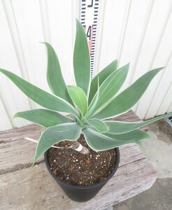 yizAKx@Aei[^@CIuCg@6ZA[gA@c؁yFAz104